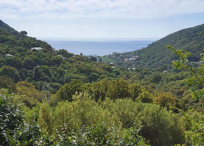 Cap Corse Uribellinu 2 Apartment Santa-Maria-di-Lota