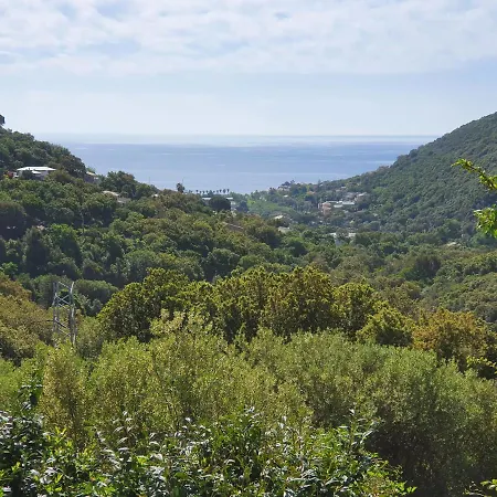 Cap Corse Uribellinu 2 Formule Petit Dejeuner Apartment Santa-Maria-di-Lota